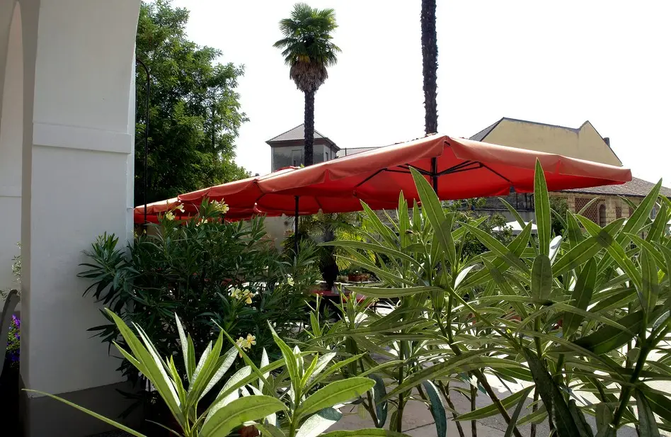 Piazza Giardino (113)