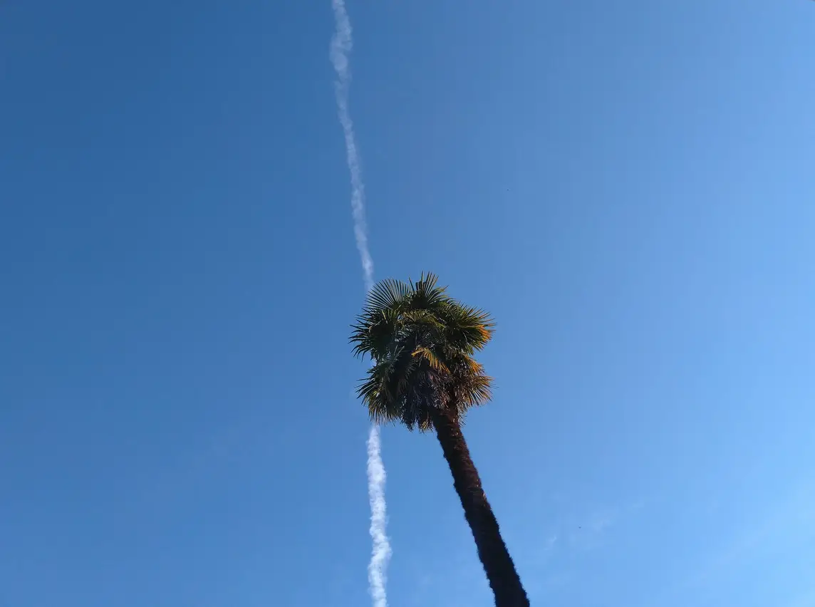 Piazza Giardino (175)